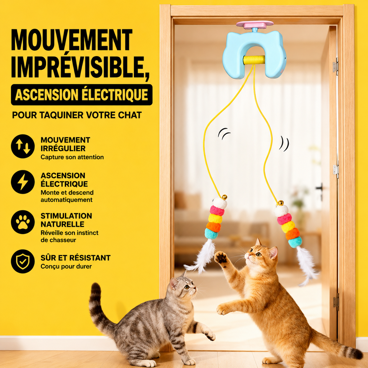 Le chat suit le mouvement du cordon
