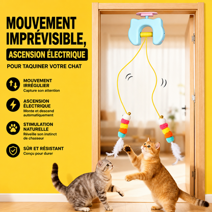 Le chat suit le mouvement du cordon