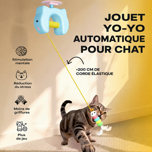 Jouet automatique pour chat FoliPattes en action